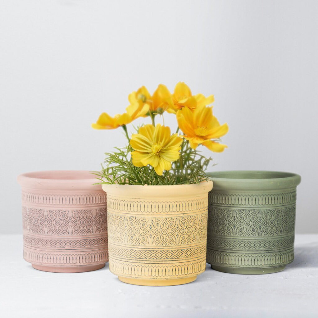 Abbott - Next Step Reps Wholesale gift vendor